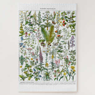 Puzzle Plantes médicinaux et fleurs par Adolphe Millot