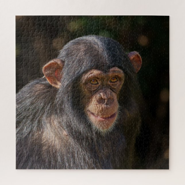 Puzzle Playful Soul – Baby Chimpanzee Close-Up (Vertical)