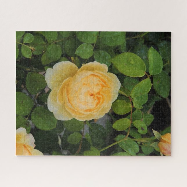 Puzzle Pluies sur Rose jaune (Horizontal)