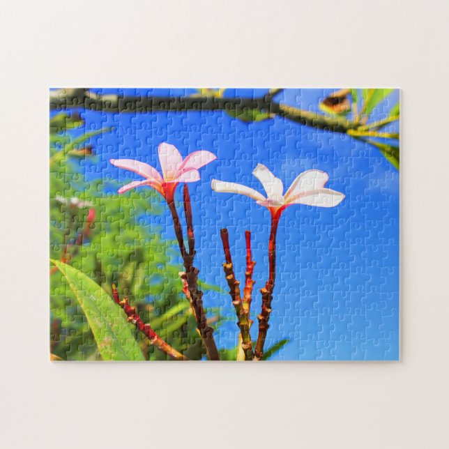 Puzzle Plumeria hawaïenne (Horizontal)