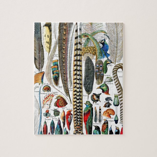 Puzzle Plumes par Adolphe Millot (Vertical)