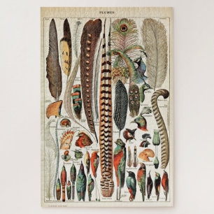 Puzzle Plumes vintages Oiseaux Vieux art illustratif
