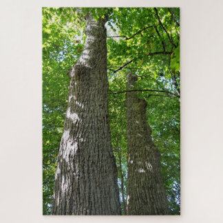 Puzzle plus de 1000 pièces, Tours Arbres