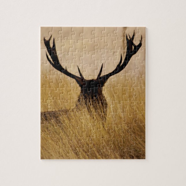 Puzzle Poignée dans la brosse - 8x10 - 110 pièces (Vertical)