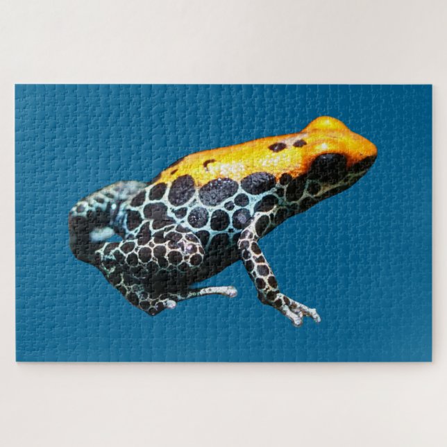 Puzzle Poison grenouille (Horizontal)