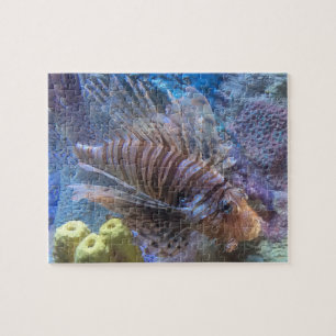 Puzzle Poisson