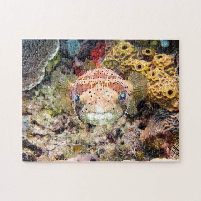 Puzzle Poisson (Horizontal)