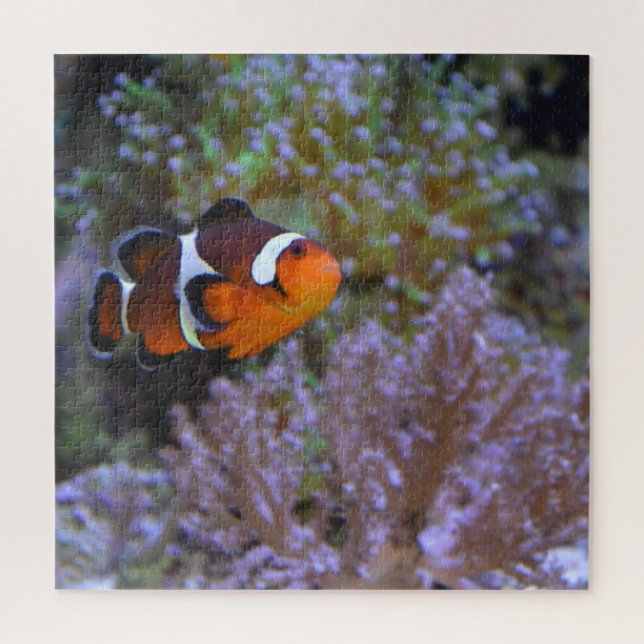 Puzzle Poisson clown Sea Anemone Coral Photographie sous- (Vertical)