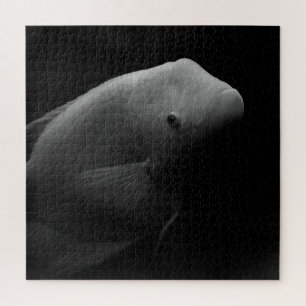 Puzzle Poisson dans un réservoir - Photographie d'art