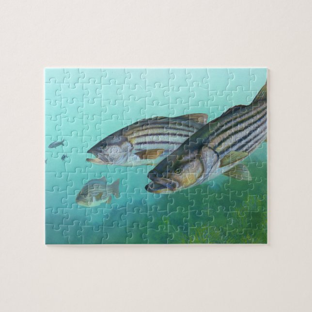 Puzzle Poisson de bar rayé de l'Atlantique Morone Saxatil (Horizontal)