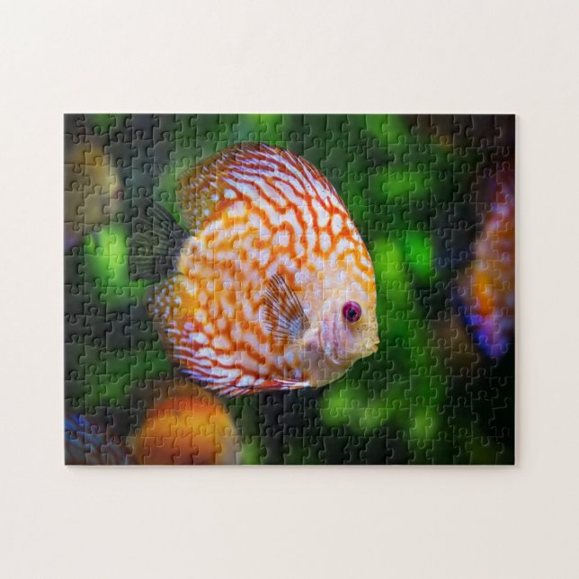 Puzzle Poisson de Discus (Horizontal)