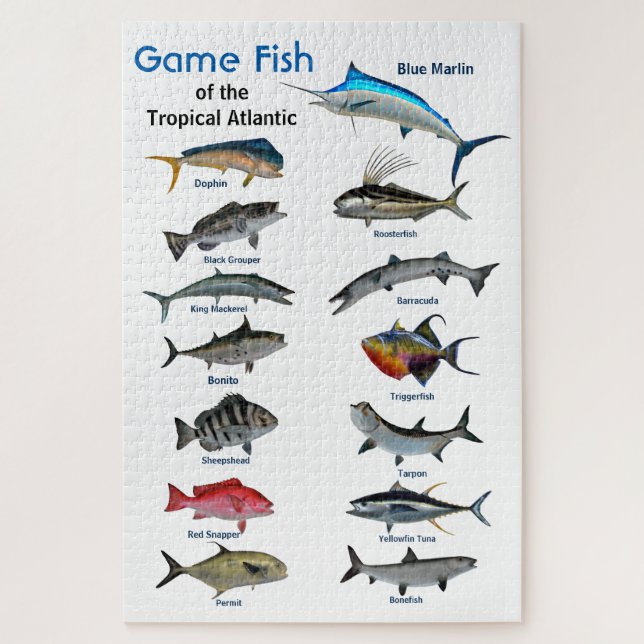 Puzzle Poisson de gibier de l'Atlantique tropical (Vertical)