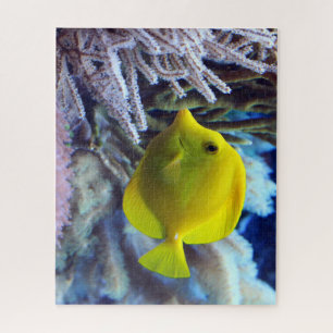 Puzzle Poisson de Tang Jaune