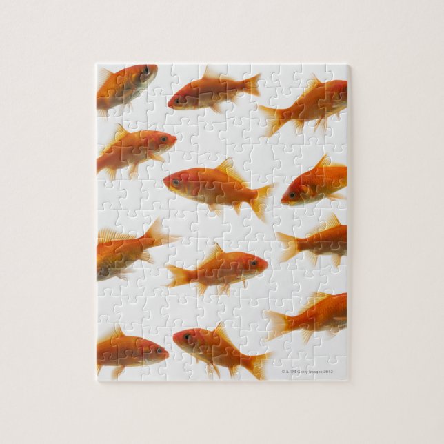 Puzzle Poisson d'or (Vertical)