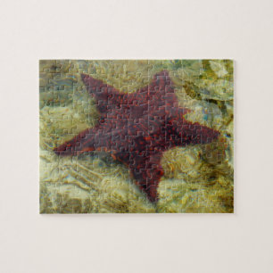 Puzzle Poisson étoilée sous-marine aux Bahamas