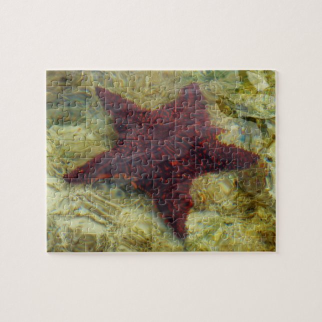 Puzzle Poisson étoilée sous-marine aux Bahamas (Horizontal)