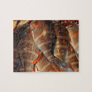 Puzzle Poisson frais