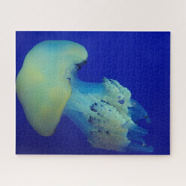 Puzzle Poisson gelé (Horizontal)