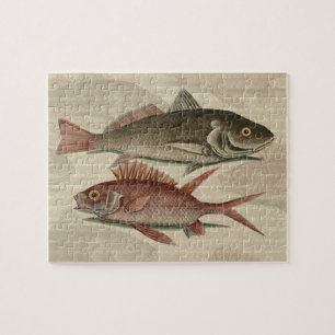 Puzzle Poisson Perche rouge Art pêcheur