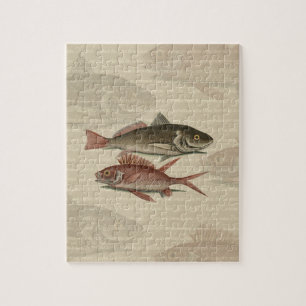 Puzzle Poisson Perche rouge Art pêcheur