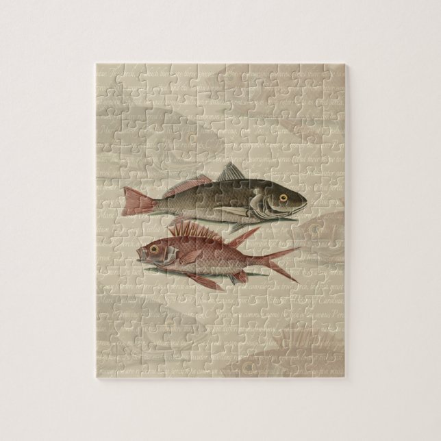 Puzzle Poisson Perche rouge Art pêcheur (Vertical)