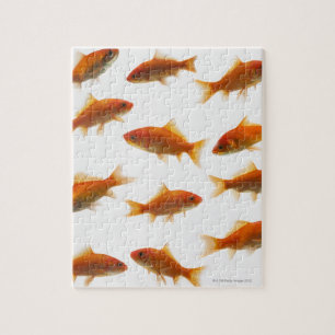 Puzzle Poisson rouge
