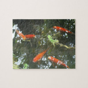 Puzzle Poisson rouge