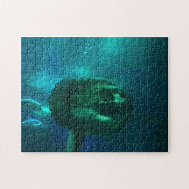 Puzzle Poisson Soleil. (Horizontal)