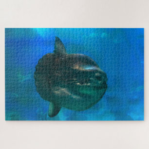 Puzzle Poisson soleil.