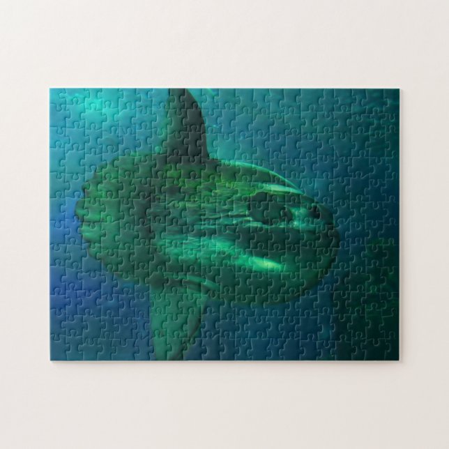 Puzzle Poisson Soleil. (Horizontal)