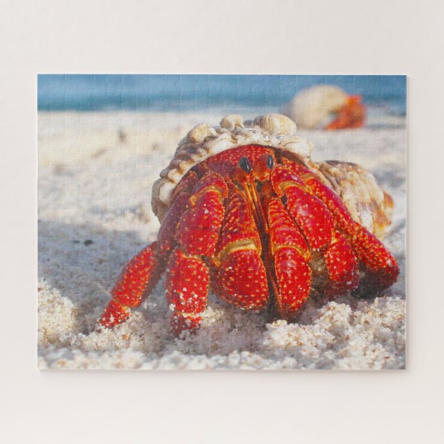 Puzzle Poisson tropical (Horizontal)