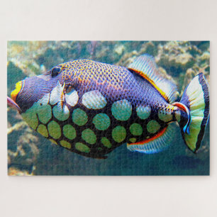 Puzzle Poisson tropical