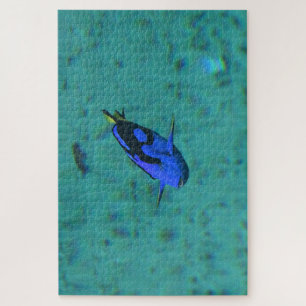 Puzzle Poisson Tropical.