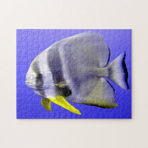Puzzle Poisson tropical