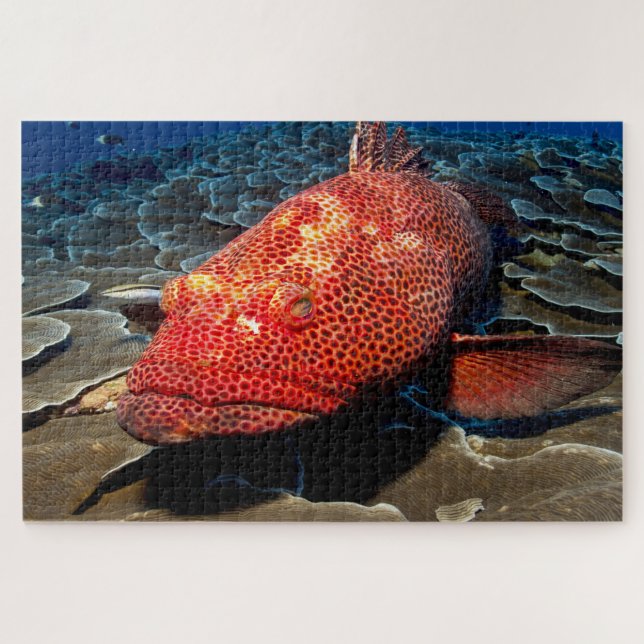 Puzzle Poisson tropical (Horizontal)