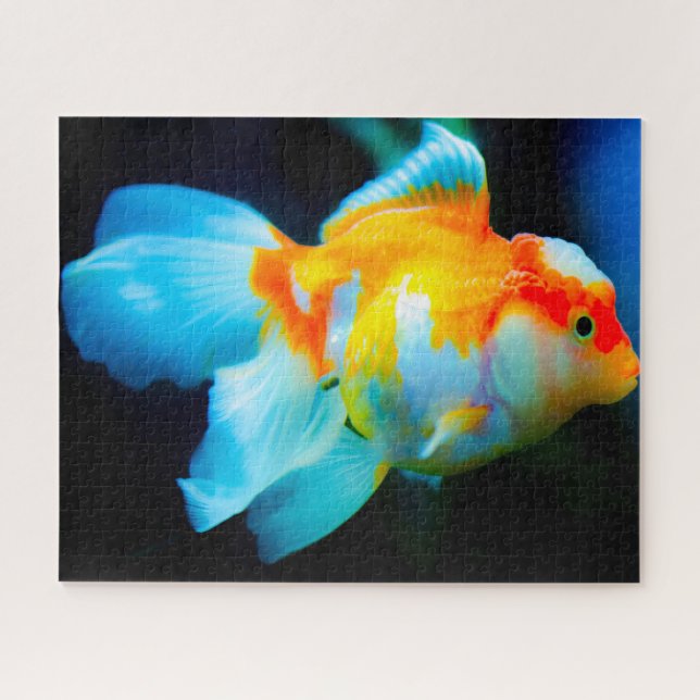 Puzzle Poisson tropical (Horizontal)