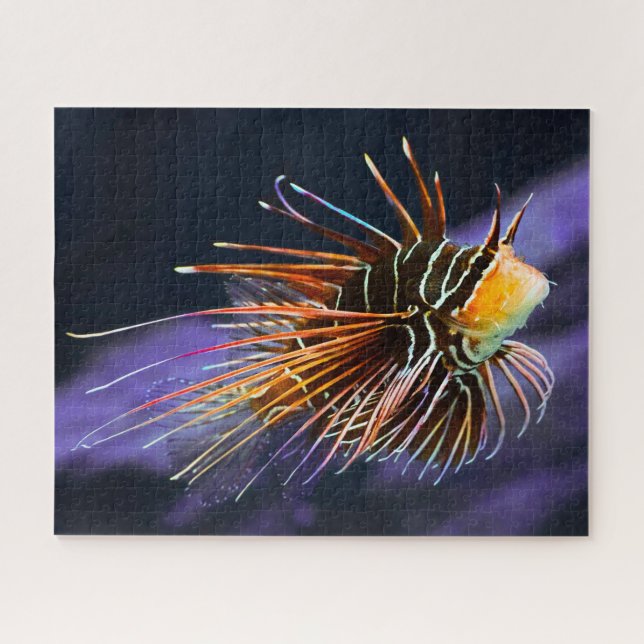 Puzzle Poisson tropical (Horizontal)