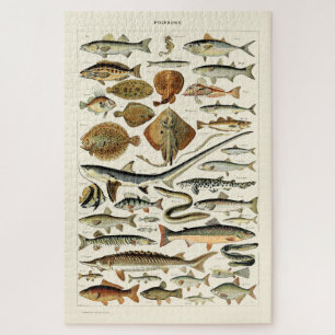 Puzzle Poisson vintage par Adolphe Millot