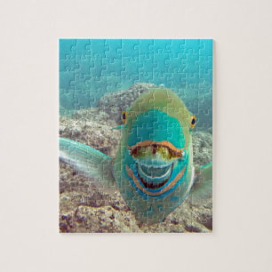 Puzzle Poissons de perroquet d'Hawaï - Uhu