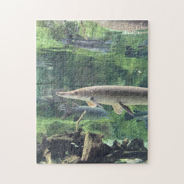 Puzzle Poissons de Pike (Vertical)