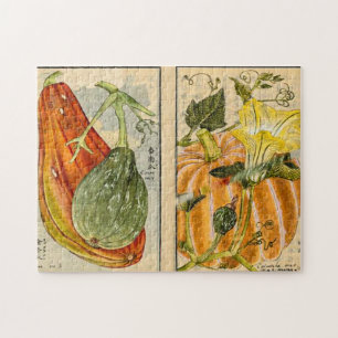 Puzzle Poivre de Cucurbita - Seikei Zusetsu