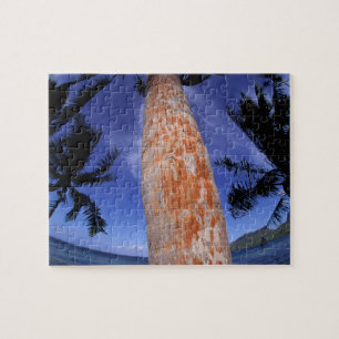 Puzzle Polynésie française, Bora Bora, Palmiers