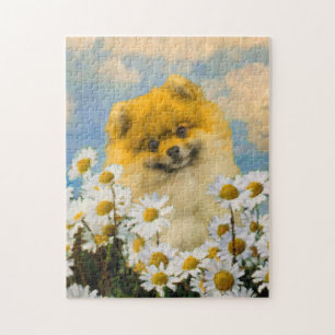 Puzzle Pomeranian dans les marguerites peignant - art