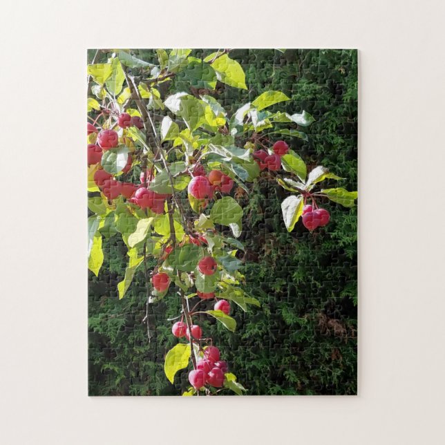 Puzzle Pommes de crabe (Vertical)