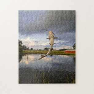 Puzzle Pond Catfish