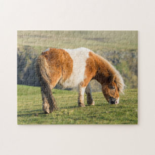 Puzzle Poney Shetland dans un pâturage près de hautes fal