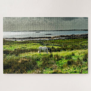 Puzzle poneys de Connemara Galway Irlande.
