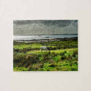 Puzzle poneys de Connemara Galway Irlande.