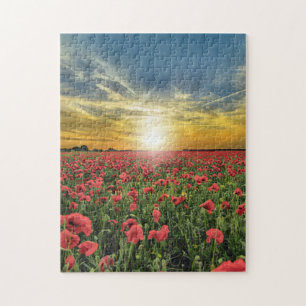 Puzzle Poppies At Sunset
