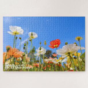 Puzzle Poppy d'Islande